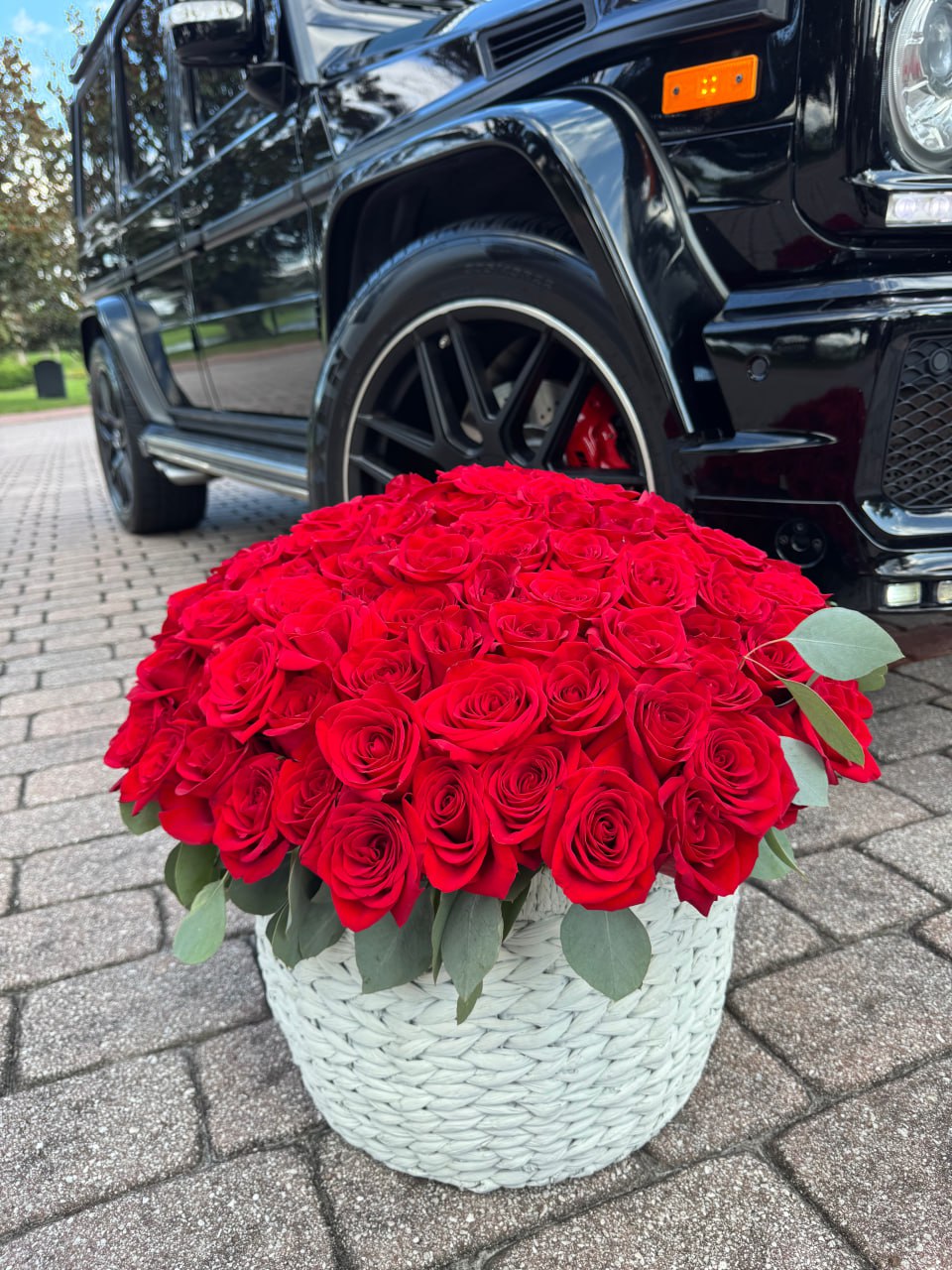 Scarlet Roses - Image 6